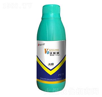 ���L��-���L