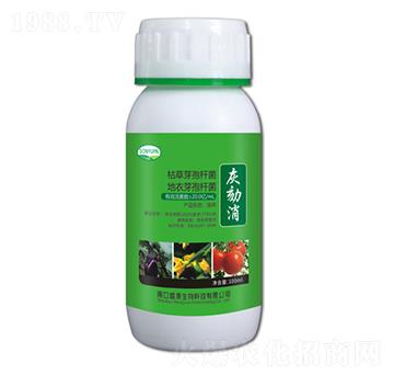 ������-ʢԴ