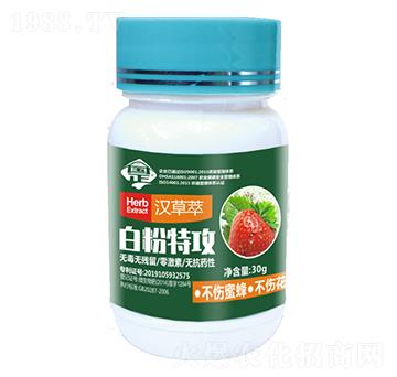 白粉特攻-正能量