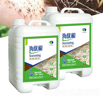 ����(y��u)���_ʩ��-�{(l��n)ؐ��