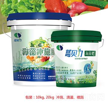 ����Һ�w��-�屶��-�{(l��n)ؐ��