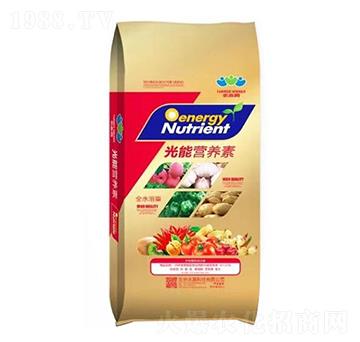 ���ܠI(y��ng)�B(y��ng)��-�r(n��ng)�A