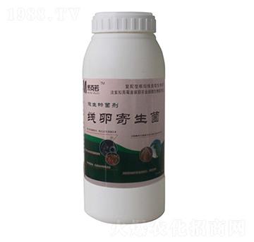 ���Ѽ�����-�A�I����