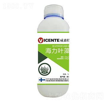 �����~��-���ֺ�