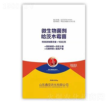 ΢�������������ľù����-�΁��r(n��ng)��