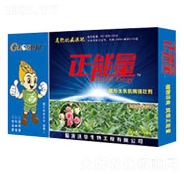 ������ľ�����������L(zh��ng)������(qi��ng)�ф�-������