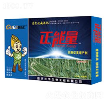 ���ǌ��ÿ������v���a(ch��n)��-������