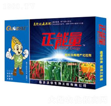 �������ÿ����������a(ch��n)���؄�-������