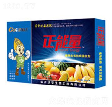 �V�V��ֲ�����L�������ф�-������