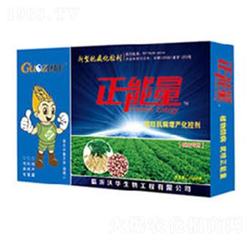 �������ÿ����������a(ch��n)���؄�-������