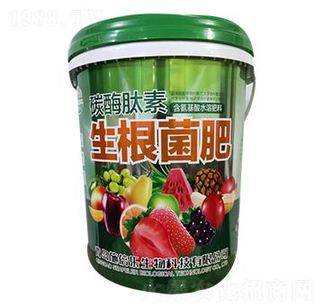 ̼ø������������-�������