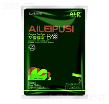 ������˹B��-����