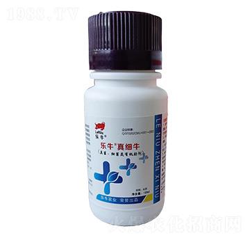 ������������������-�������漚ţ-�\��I��