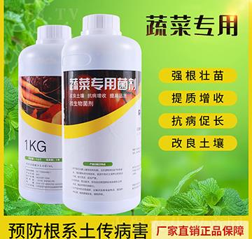 �߲ˌ��þ���-����