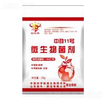 �Є�11̖(h��o)΢�������-��ţ