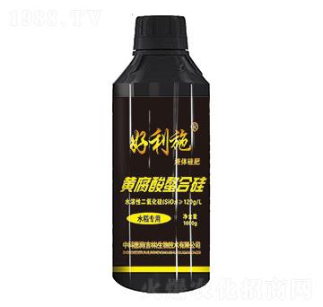 �S�������Ϲ�-��(r��n)�ʘI(y��)