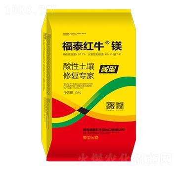 ���������ޏ�(f��)����-��̩�t�����V