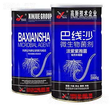 ΢�������-�;�ɳ-꿾�