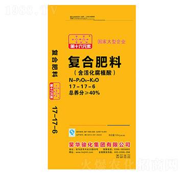 �ͺϷ���17-17-6