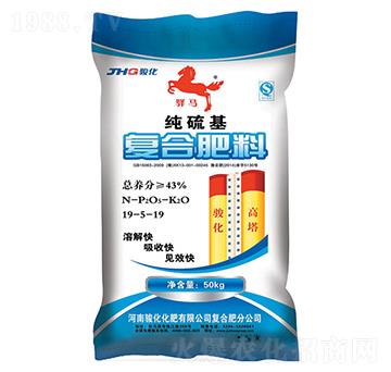 �ͺϷ���19-5-19