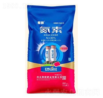 �������������͵���-����-�͸��ʘI(y��)