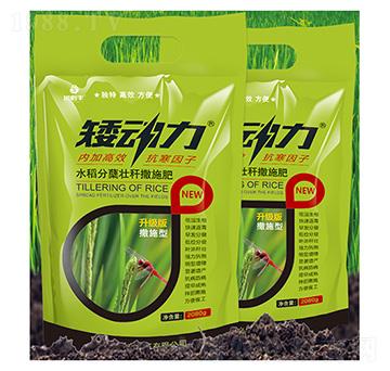 ˮ�����Y�їU��ʩ��-������-����S