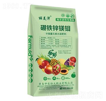 ���F�\�V�f-������-���r���