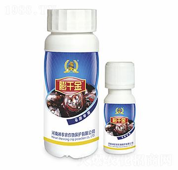 �R�㌣���~���-��ǧ��-�������r