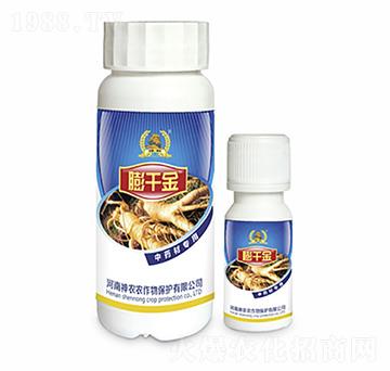 ��ˎ�Č����~���-��ǧ��-�������r(n��ng)