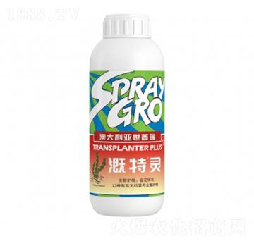 �����`-�����ط�