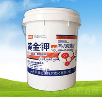 �ЙC(j��)�������S���-����