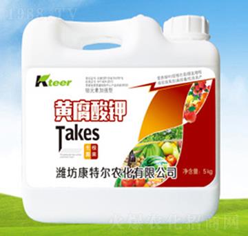 �S����⛛_ʩͰ��-����