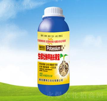 �������������L(zh��ng)����-��