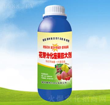 ��ѿ�ֻ��������-��