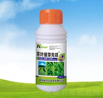 ƿ�b���~��ѿ���h-����