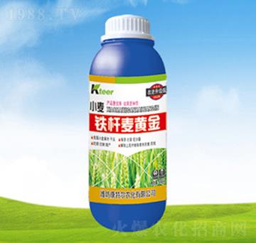 �F�U���S��-���ؠ��r(n��ng)��