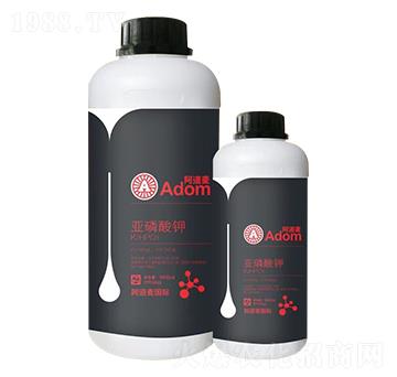 �������-������