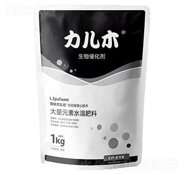 ����ľ�M(j��n)������߻���-�ۃ�