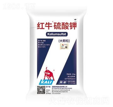 �tţ�����-�����r(n��ng)�I(y��)