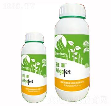 ����-�����m��