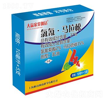 37%���衤�R��������-���˻��W