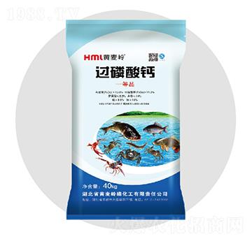 �^�����}-�S���X