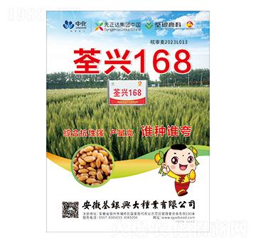 С���N��-���d168-���y�d��