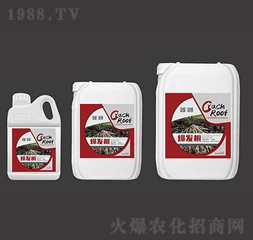 ���l(f��)��-�׵��r(n��ng)�I(y��)