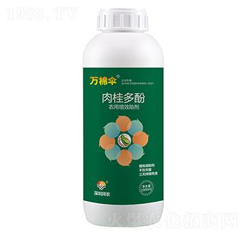 �����-�f�ނ�-���r(n��ng)����