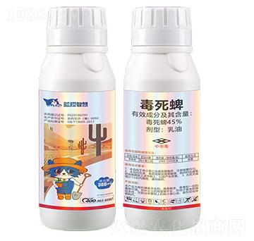 45%����������-�{؈�ǻ�