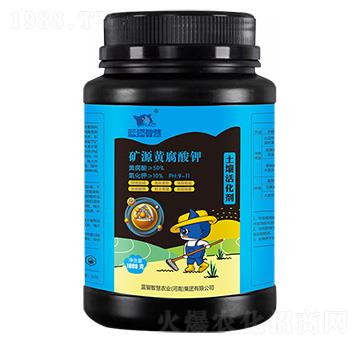 �VԴ�S������������-�{؈�ǻ�