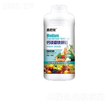 �}�V���F�\�f-�η���-��������