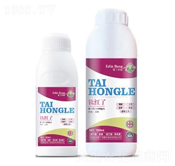 ⁼t��-��(��i)������