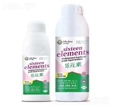 16Ԫ��-�۶�����